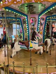 -卡通尼·Safari非洲探索乐园·生日会(金桥国际商业广场店)