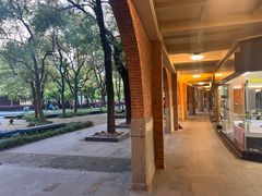 -江湾体育中心游泳馆