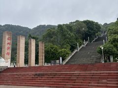 -铁山坪森林公园