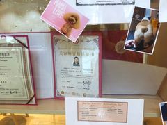-Pets First伊珊娜洗护·精致美容·家庭式寄养(新会路店)