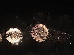 -华侨公园