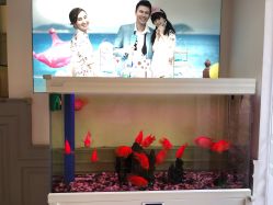 -非常六加一儿童摄影(同安店)