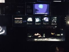 -同济大学四平路校区深海探索馆