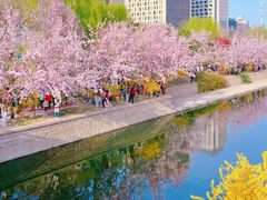 -元大都城垣遗址公园