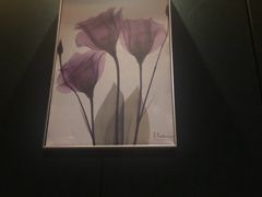 -柏悦SPA(君汇店)
