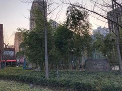 -活水公园