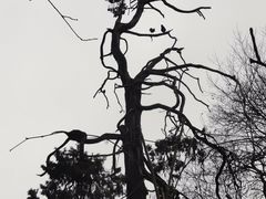 -终南山南五台景区