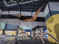 -湖南省地质博物馆