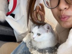 -怪兽屋·羊驼·猫咖·狗咖(俊华广场店)