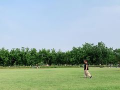 -御林古桑园