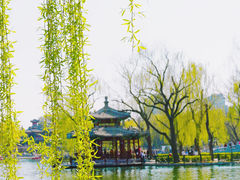 -陶然亭公园
