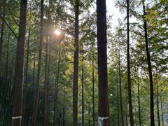 -重庆中央公园(渝北区)