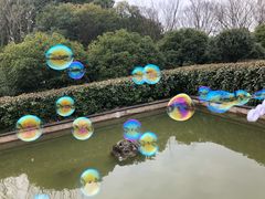 -南京市江宁方山