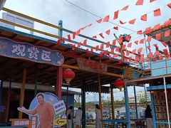 -蓝湾碧波·老字号·疍家非遗海上餐厅