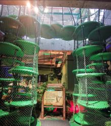 -恐龙探索乐园(磁器口店)