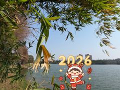-东莞松山湖凯悦酒店