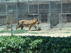 -秦皇岛野生动物园