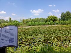 -白塔湖国家湿地公园