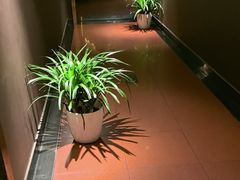 -金狮麟·新豫菜(杏石口路店)