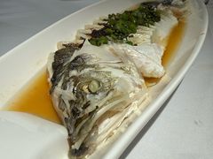 青花椒陈皮酱蒸海鲈鱼-彩虹之约•淮扬家宴(亚运村店)