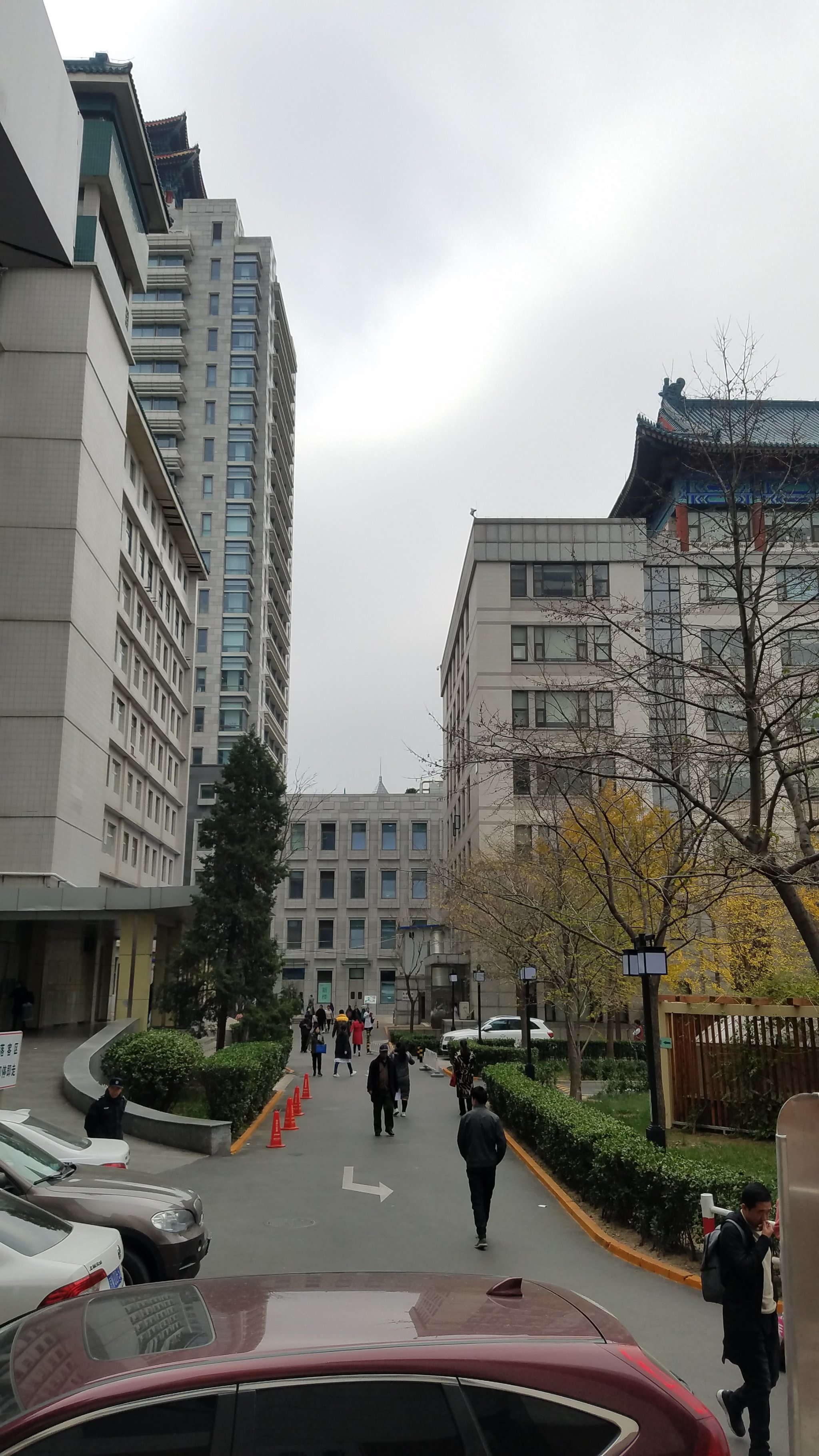 广安门中医医院、西城区号贩子联系方式全天在门口随时联系的简单介绍 广安门中医医院、西城区号贩子联系方式全天在门口随时联系的简单介绍