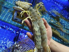 -大东海海鲜酒楼(渔人码头总店)