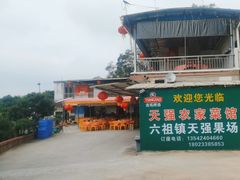 -天强农家菜馆