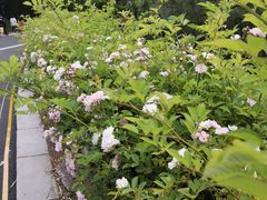 -南京市无想山景区