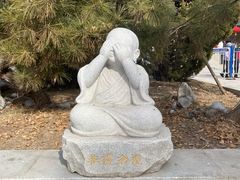 -天津大悲禅院