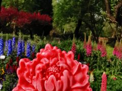 -国家植物园