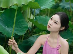 -陶辛水韵