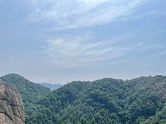 -南山植物园