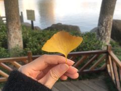 -月湖公园