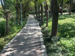 -美兰湖景区