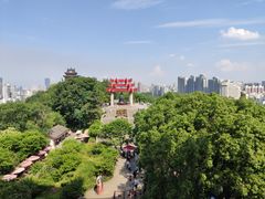 -黄鹤楼公园(黄鹤楼)