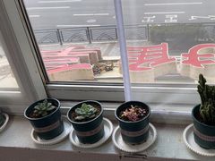 -楚氏正骨推拿按摩院(九水东路店)