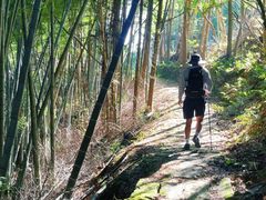 -大罗山风景区