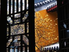 -灵谷景区