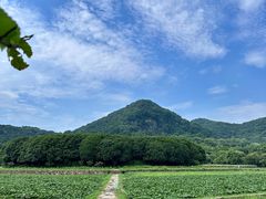 -八卦田遗址公园
