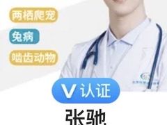 -北京观赏动物医院·24小时大型综合·猫专科·异宠专科