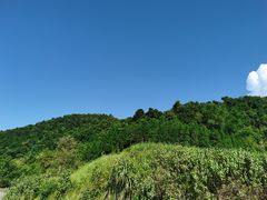 -张关合渣(航空大道店)