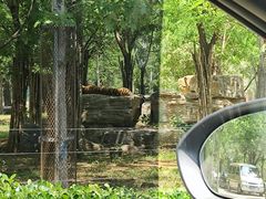-秦皇岛野生动物园