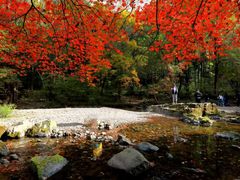 -关门山森林公园