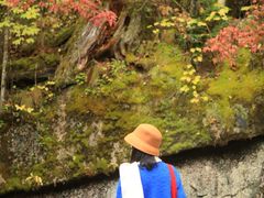 -五营红松林海景区