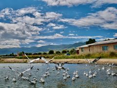 -青海湖国家重点风景名胜区