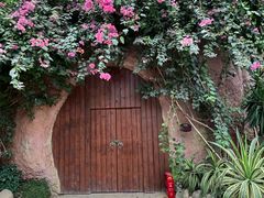 -祥源·阜阳生态乐园