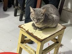 -秦胖子肉陀良心店