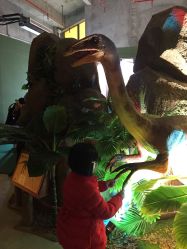 -恐龙探索乐园(磁器口店)