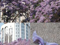 -南屏步行街