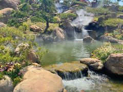 -罗红摄影艺术馆